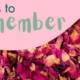 Petals to Remember 2024 Logo Image